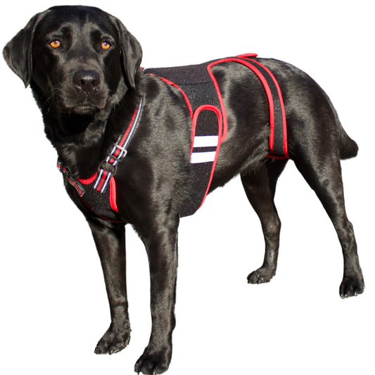 Dog Back Brace - Specialized IVDD Back Brace for Dogs Arthritis Relief Herniated Disc Slipped Disc Surgery Recovery - Dog Spine Support Harness - IVDD Dog Supplies PetAngell - Large